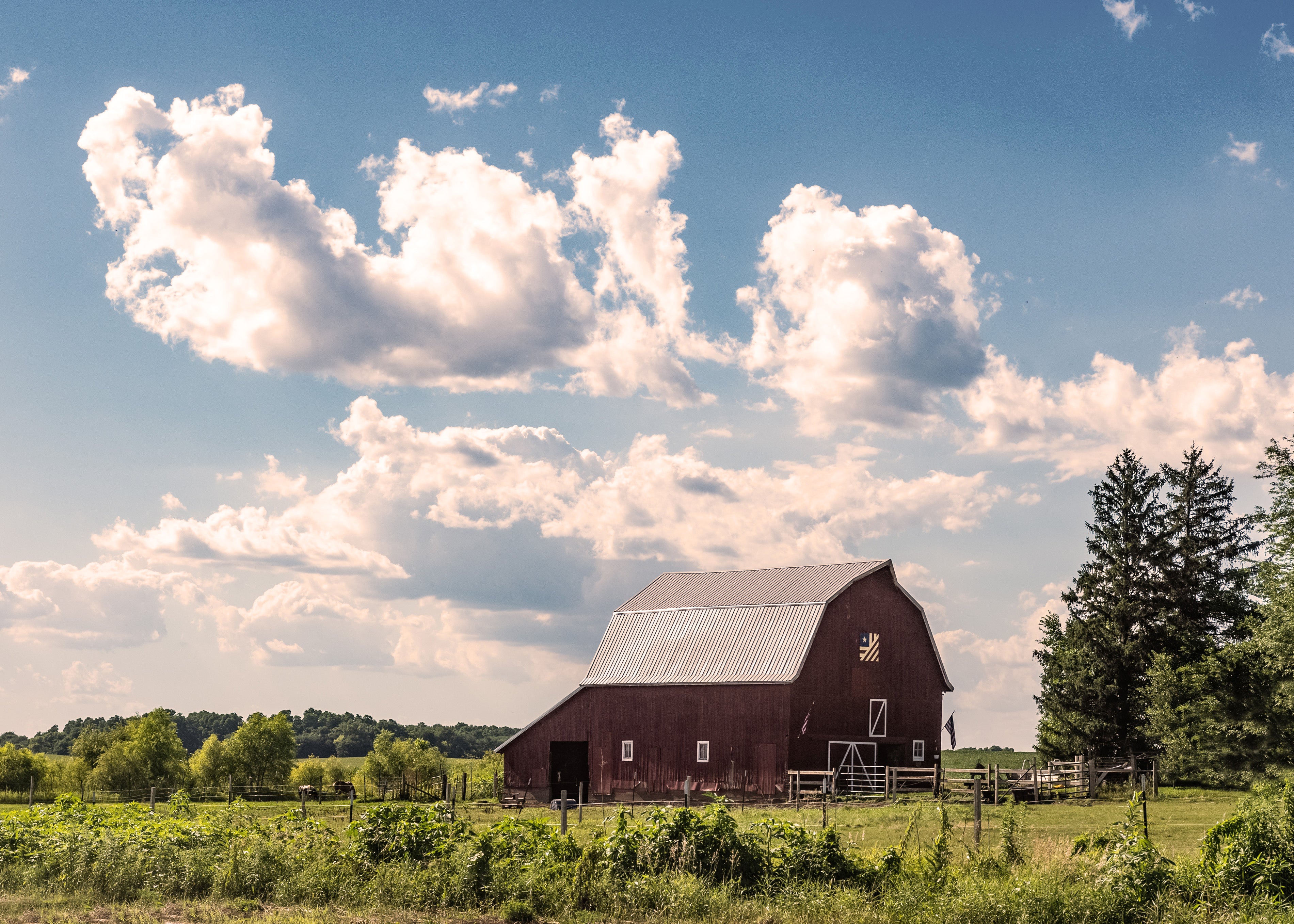 Farm Photo